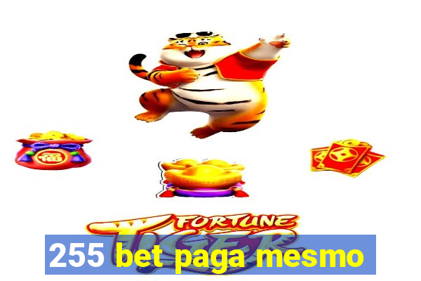 255 bet paga mesmo